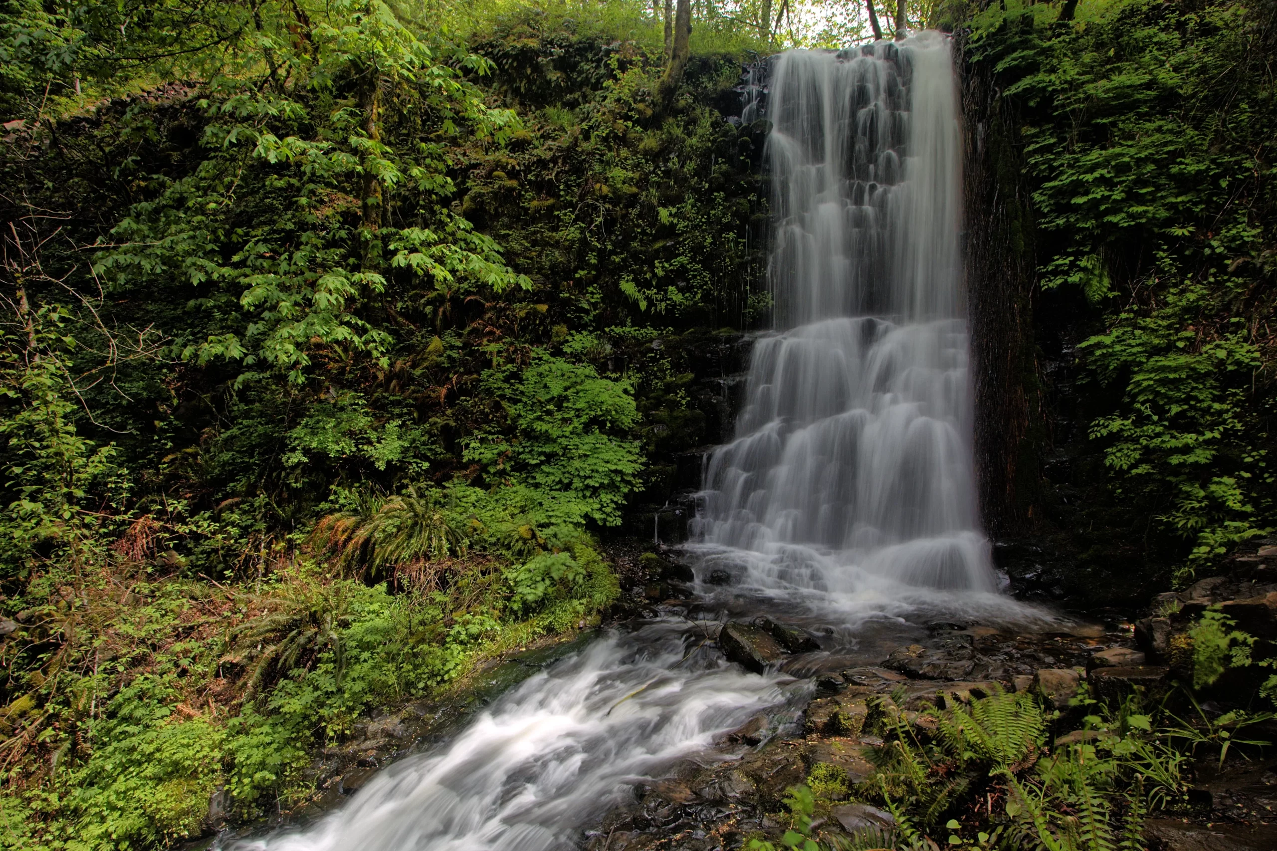 Coopey Falls