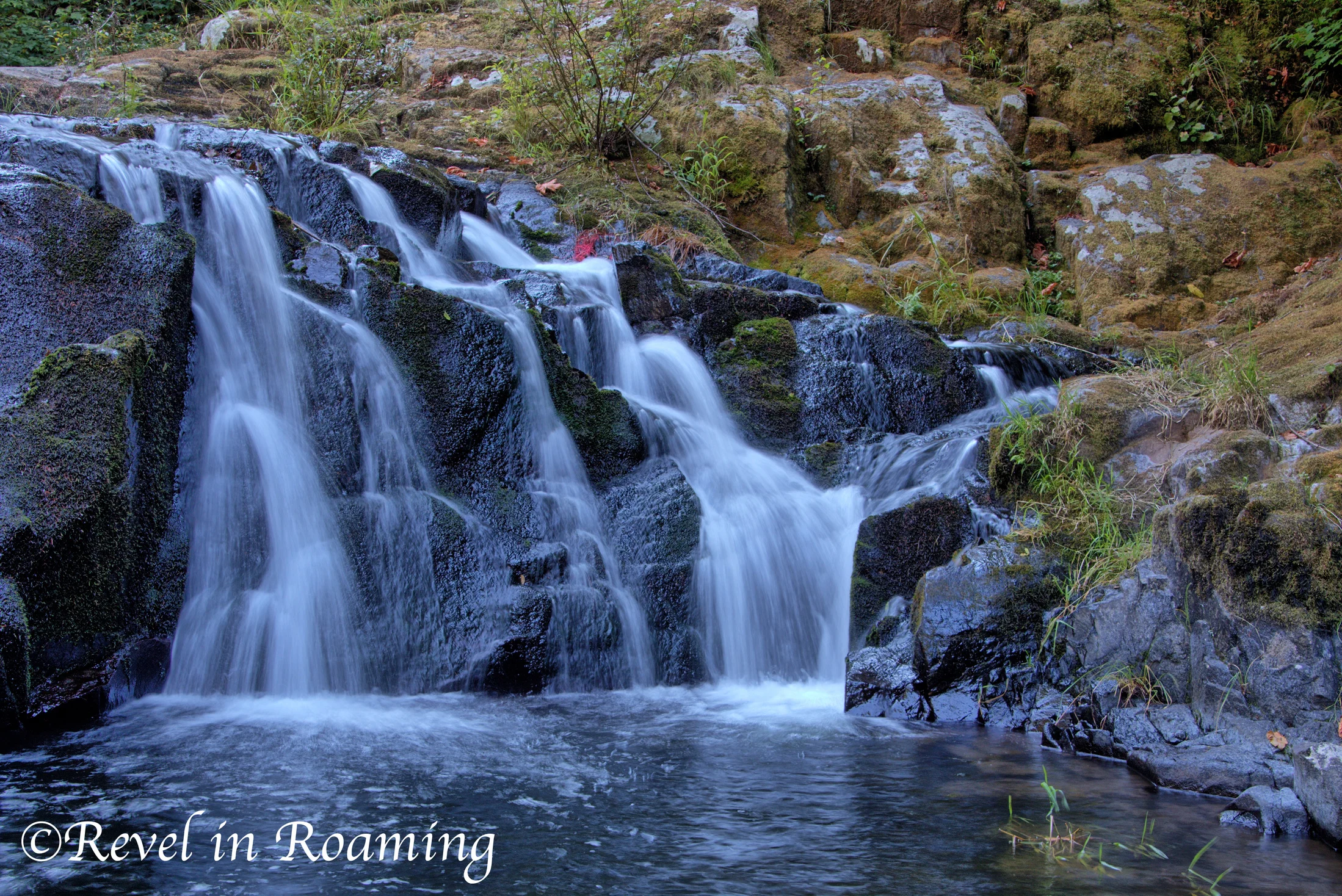 Alsea Falls